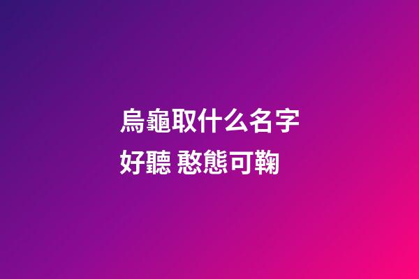 烏龜取什么名字好聽 憨態可鞠